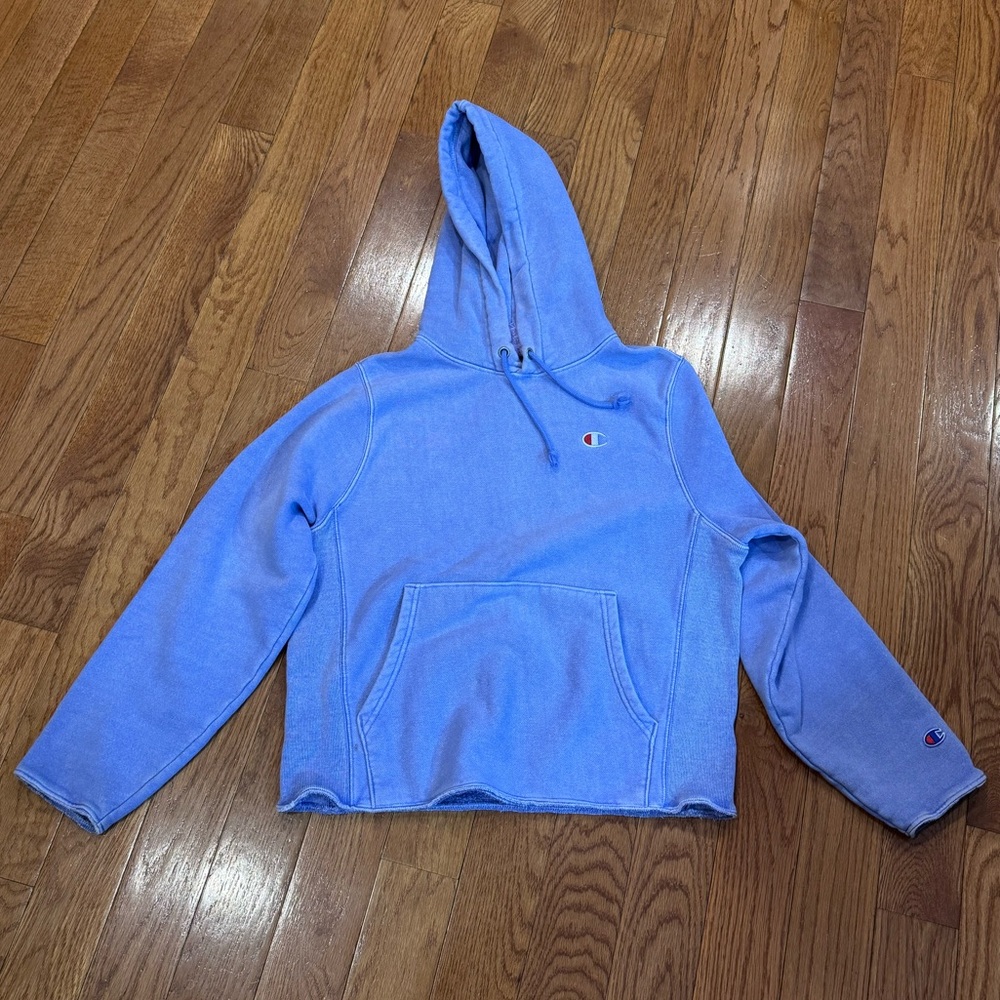 Champion Blue Hoodie